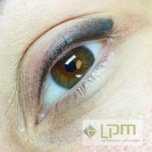 Permanent Makeup zarte Puderbrows abgehelt nach einer Sitzung Berlin