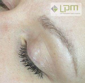 Permanent Makeup zarte Puderbrows abgehelt nach einer Sitzung Berlin